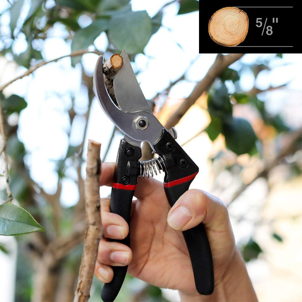 VIVOSUN 8 Inch Premium Bypass Pruning Shears Strong Garden Cutting Tools for Tree Trimmers Orange 