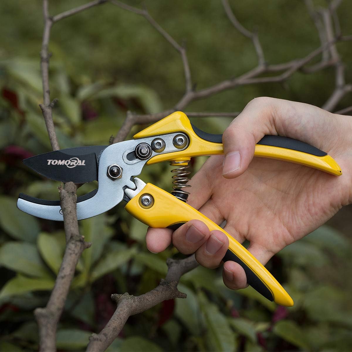 Garden Guru Bypass Pruner Elite - High Carbon Steel Bypass Hand Pruner Pruning Shears Scissors Clippers - Comfort Grip Handles - Perfect for