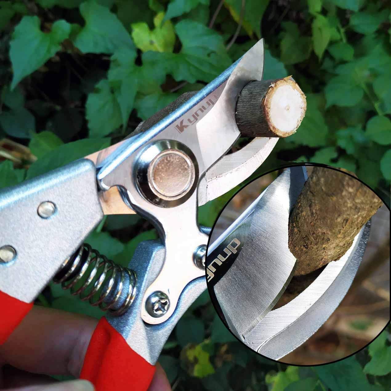Nevlers 8 Anvil Pruning Shears for Gardening Heavy Duty | Stainless Steel  Garden Clippers Handheld w/ 8mm Cutting Cap | Hand Pruner Shears w/Rubber