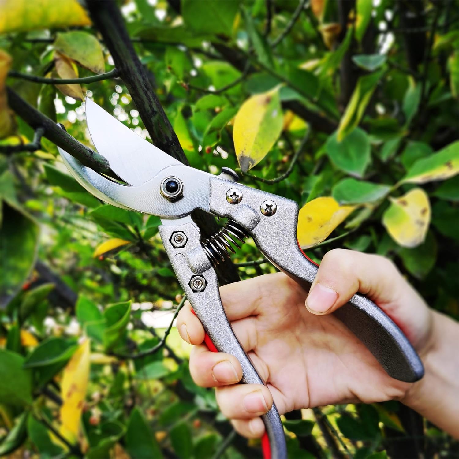 CyberGenZ Anvil Pruning Shears - 8 Garden Shears Pruning, Heavy Duty  Garden Clippers Handheld with Blue Adjustable Grip, Gardening Pruners Tool  for