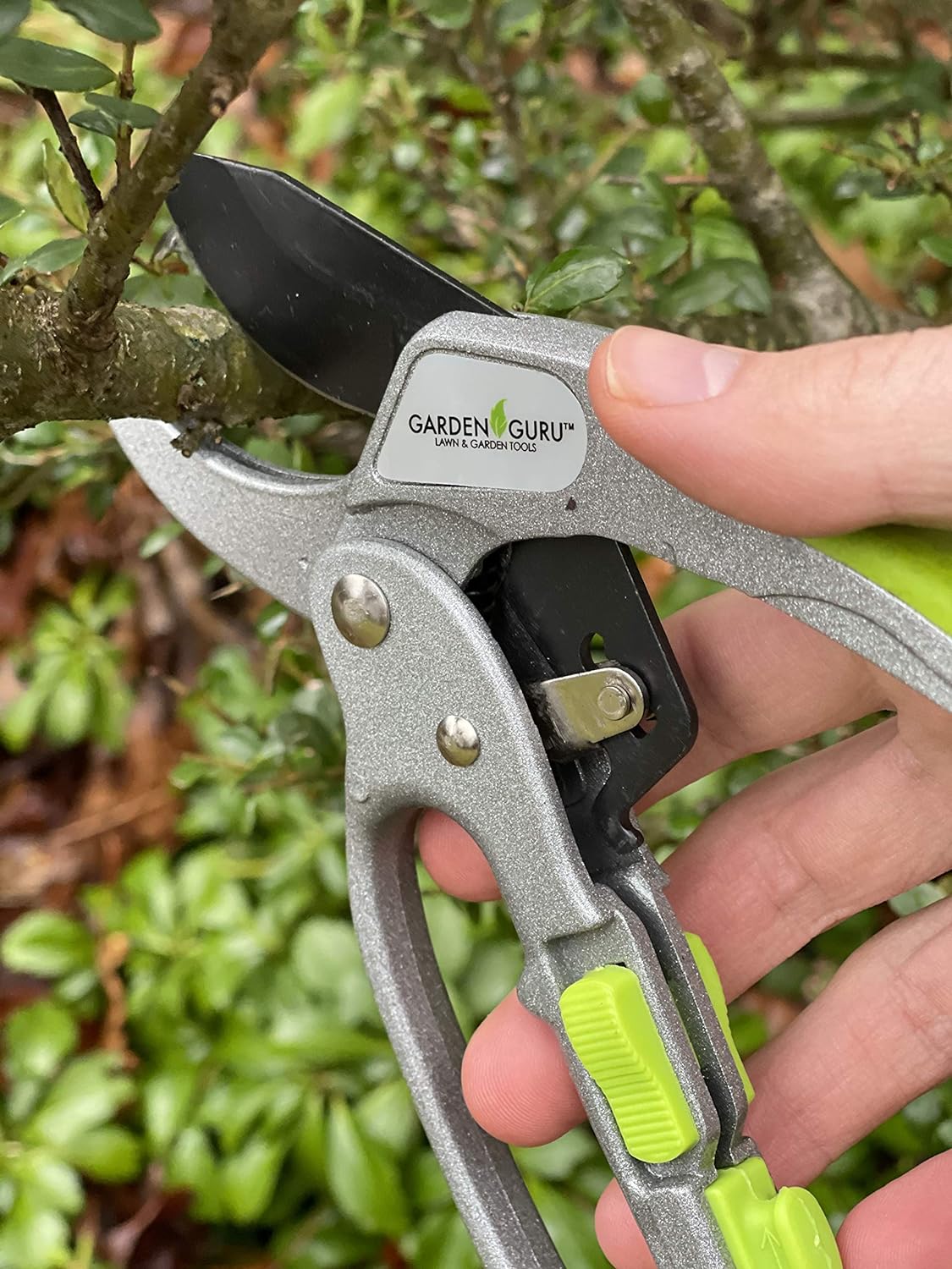 Easy Action Ratchet Pruning Shears - Cate's Garden