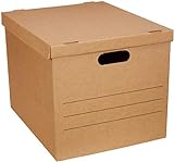 Amazon Basics Medium Moving Boxes with Lid and Handles, 10 Pack, Brown, 19 x 14.5 x 15.5 inches