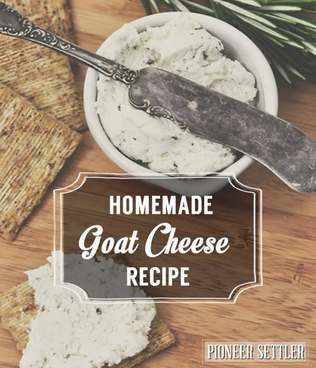 Homemade Goat Cheese