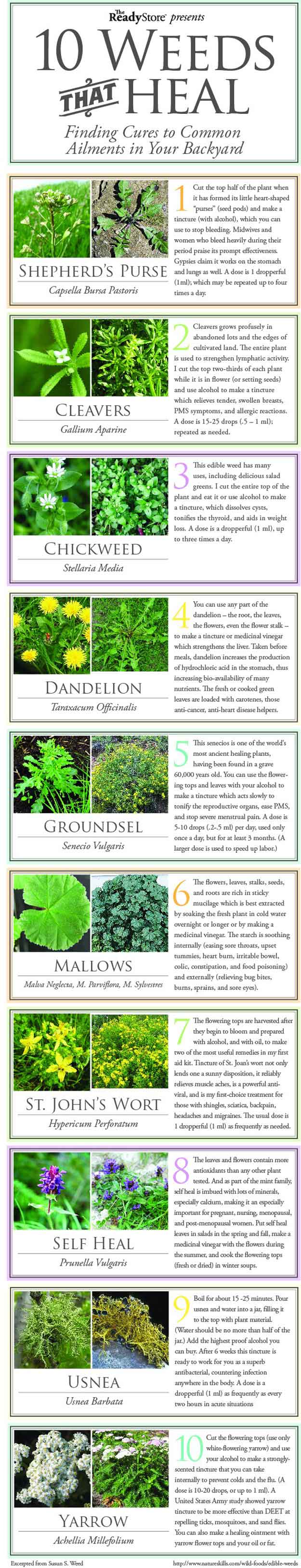 Weeds That Heal | Mother Nature’s Best Home Remedies