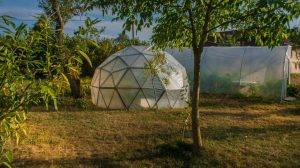 Featured | geodesic dome for vegetables | How to Build a Geodesic Dome
