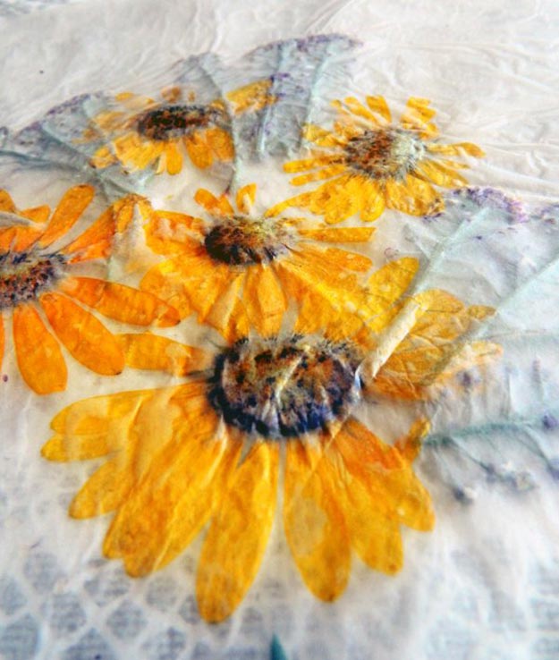 Finished pressed flowers