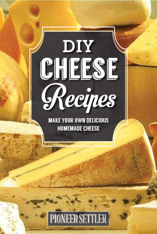 homemade cheese recipes & ideas 1