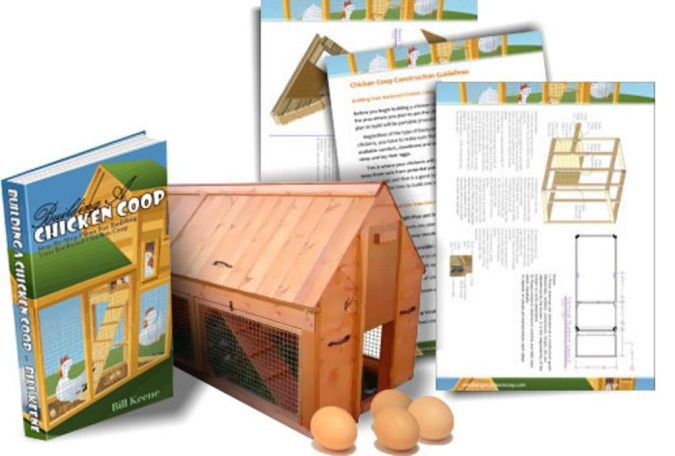 How To Build A Chicken Coop| How to Build A Chicken Coop in 4 Easy Steps