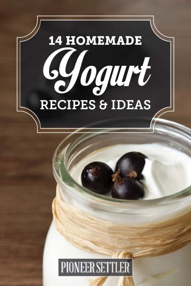 homemade recipes for yogurt