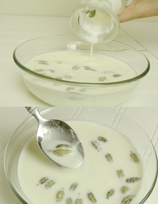 making yogurt starter