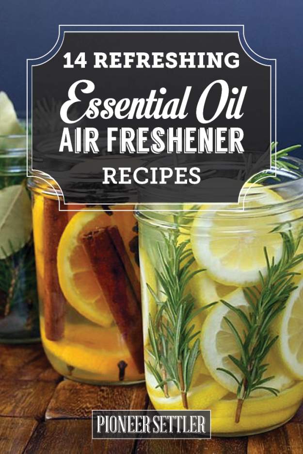 refreshing essential oil air fresheners to brighten up your homestead