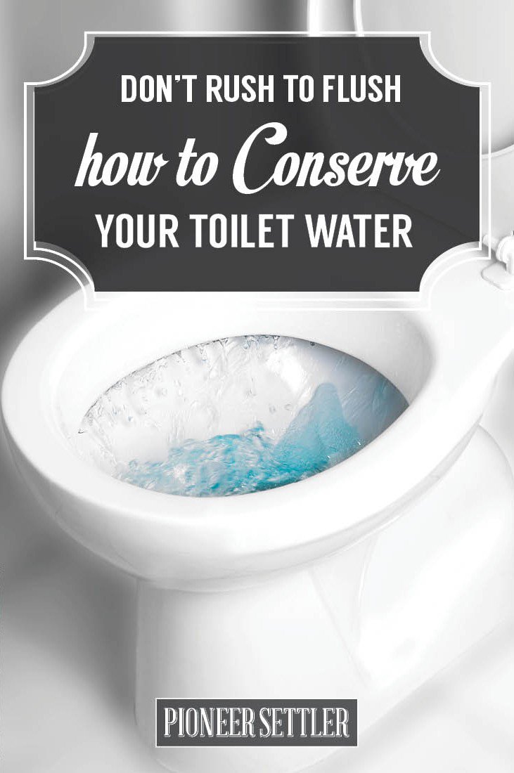 Why Flush is a water neutralizer for toilet water. Amazing way to conserve thousands of gallons of water a year! at https://homesteading.com/conserve-water-toilet-neutralizer