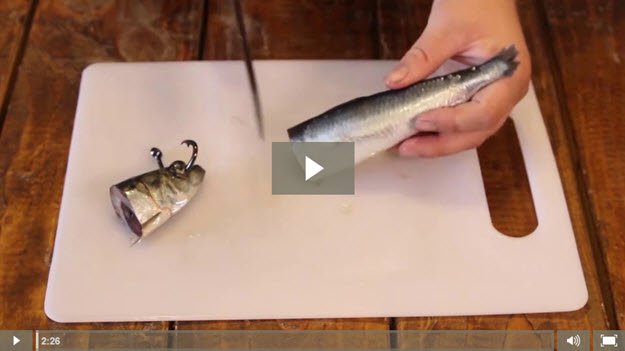 VIDEO How to Make Fishing Lures - Fishing and Lure Making - Bait - Cutbait