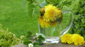 Featured | Dandelion tee | Best Way to Make Dandelion Root Tea | Home Remedies