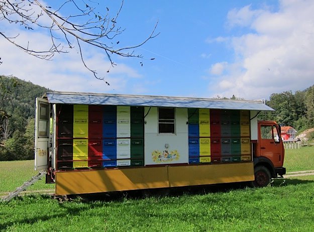 Best Bee Hive Plans Build a Home to Help Save Bees!