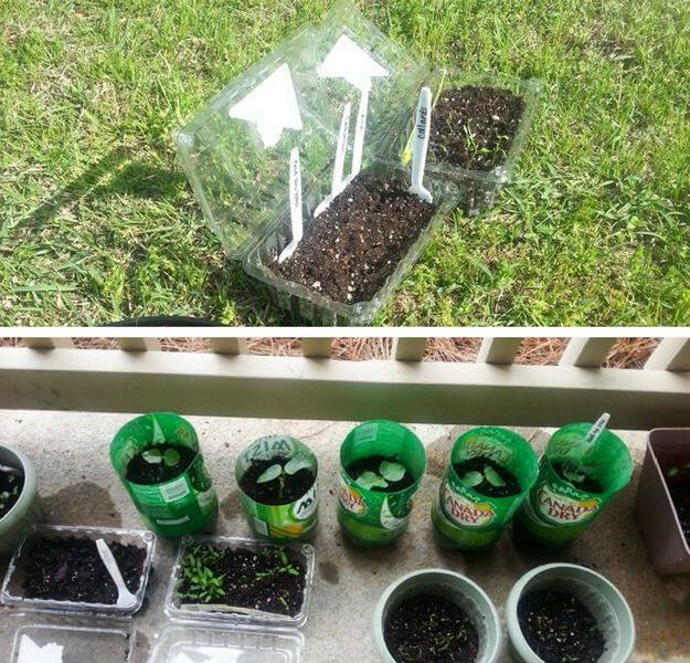 Tip 3: Choose A Growing Method | Homesteading Tips For Starting Seeds In DIY Greenhouse
