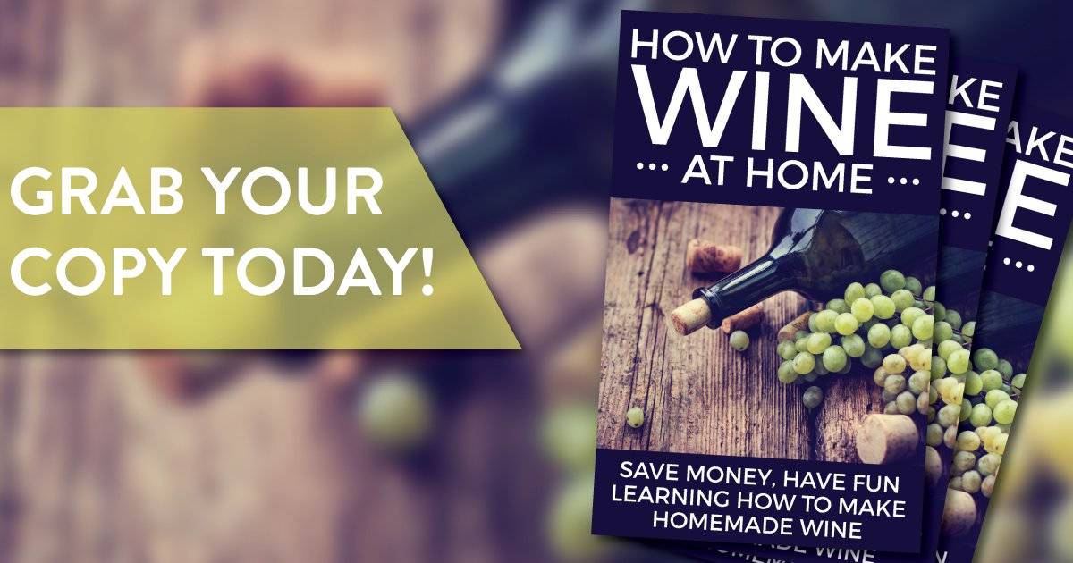 Want To Make Wine At Home?