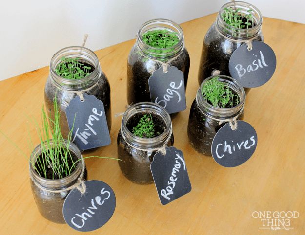 Mason Jars | How To Germinate Seeds A Homesteader's Guide To Sprouting Seeds