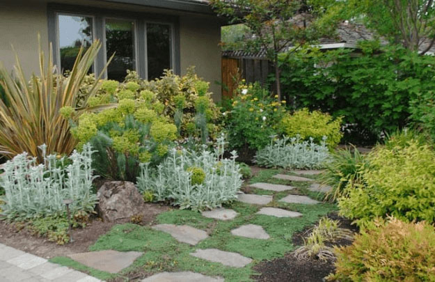 40 Drought Tolerant Plant Ideas for your Homestead's Landscape - Use ...