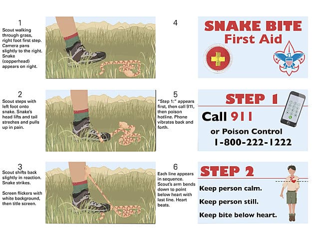 Snake Bite | A Basic Guide To First Aid And CPR | Homesteading Skills