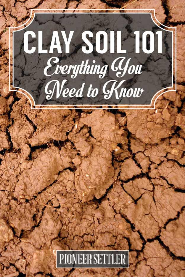 Clay Soil 101