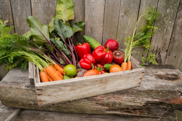 how to keep a vegetable garden in your backyard