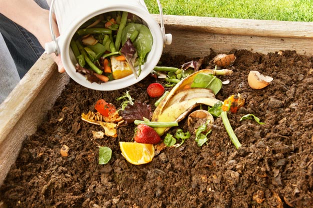Compost | Homesteader's Guide to Soil Improvement