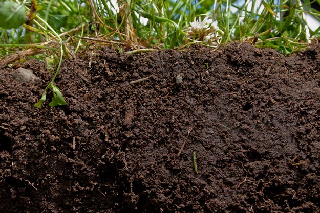 In Conclusion | Homesteader's Guide to Soil Improvement