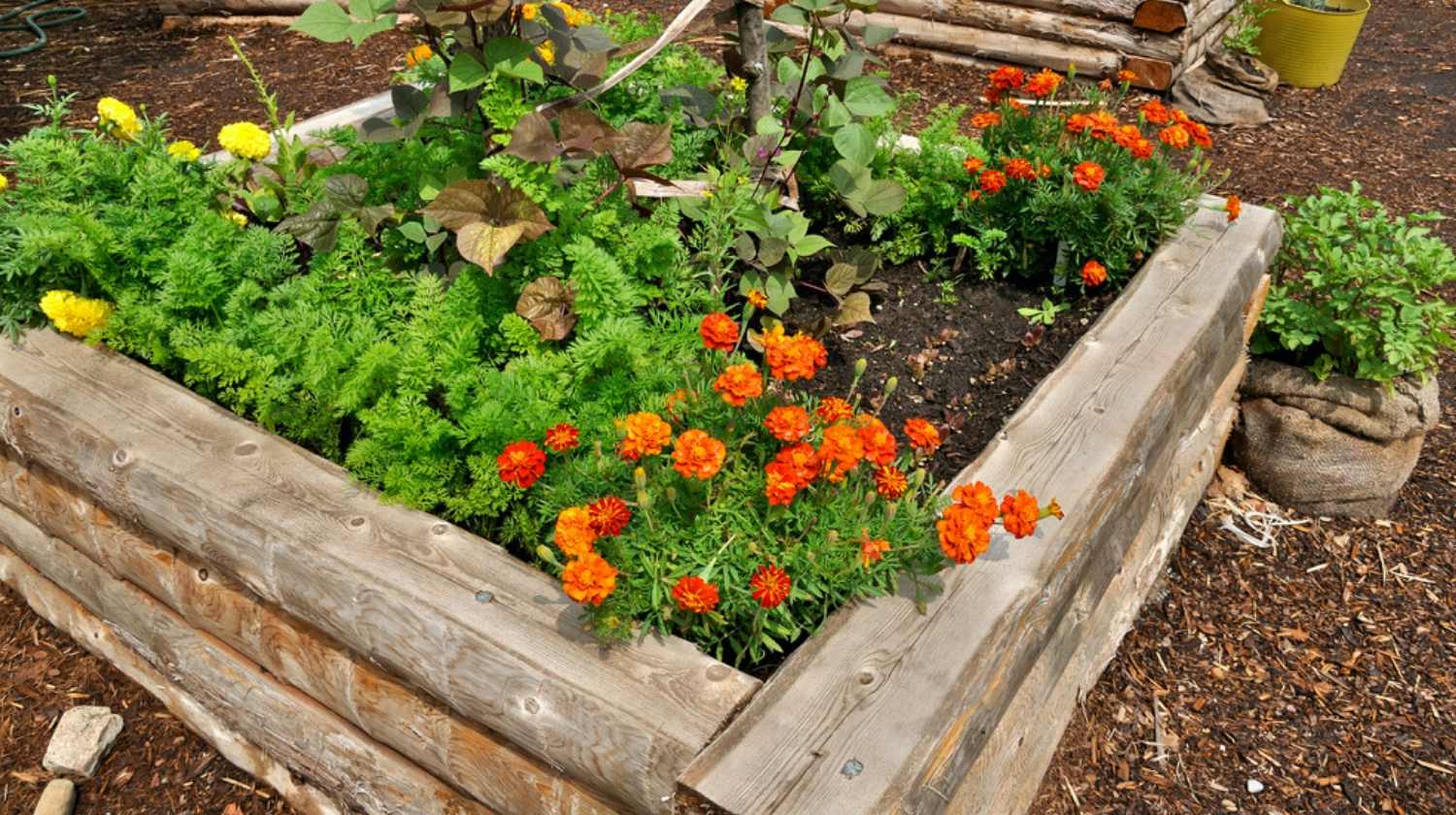 How To Build A Raised Flower Bed Garden, Flower Bed Frame