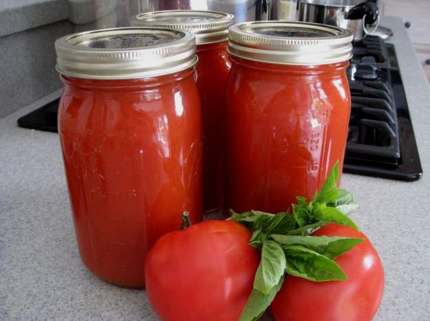 Tomatoe Sauce Recipe | 12 Fresh Tomato Recipes To Enjoy The Most From Your Harvest