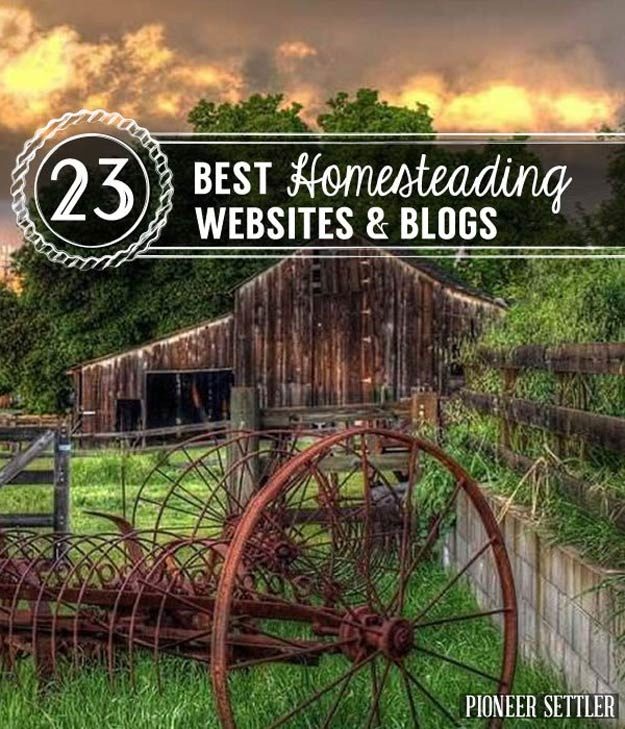 23 Best Homesteading Websites and Blogs