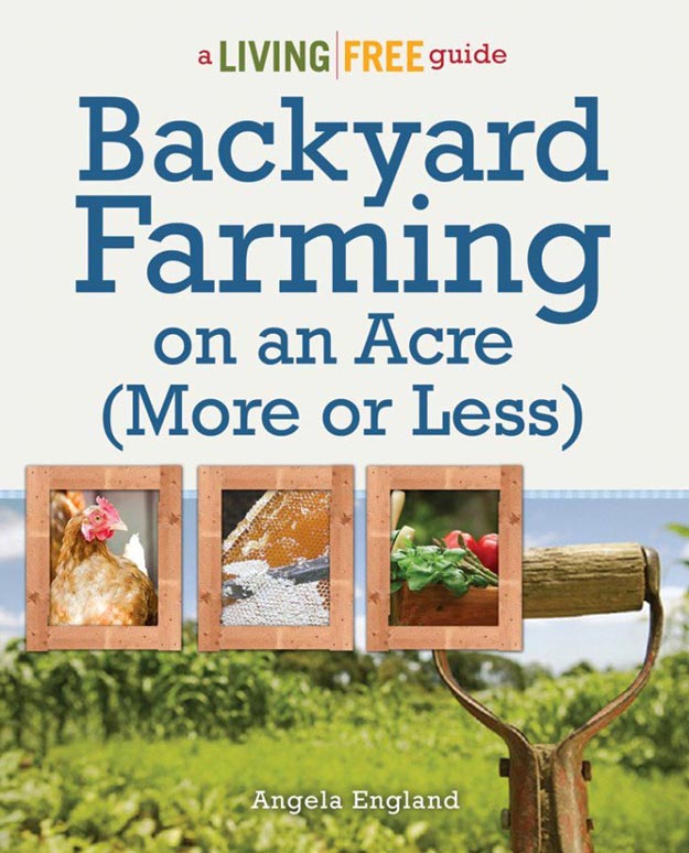 Backyard Farming on an Acre | 23 Best Homesteading Websites and Blogs 