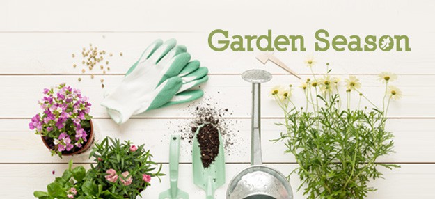 Garden Season | 23 Best Homesteading Websites and Blogs 