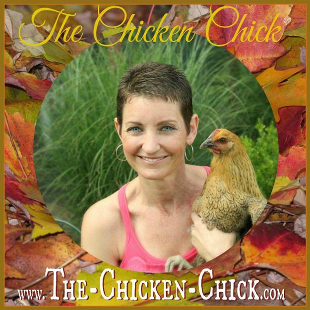  The Chicken Chick | 23 Best Homesteading Websites and Blogs 