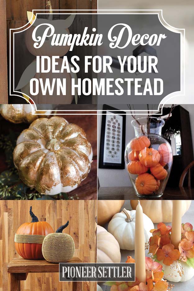 Pumpkin Decor Ideas for Your Own Homestead