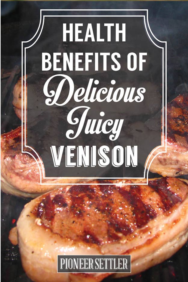 Benefits of Delicious Juicy Venison