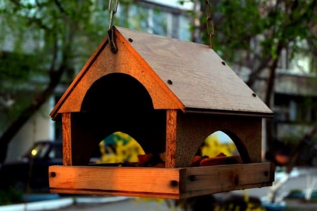 Build Birdhouses Or Nesting Boxes | Bird Bath & All You Need To Know In Keeping Your Backyard Birds Happy