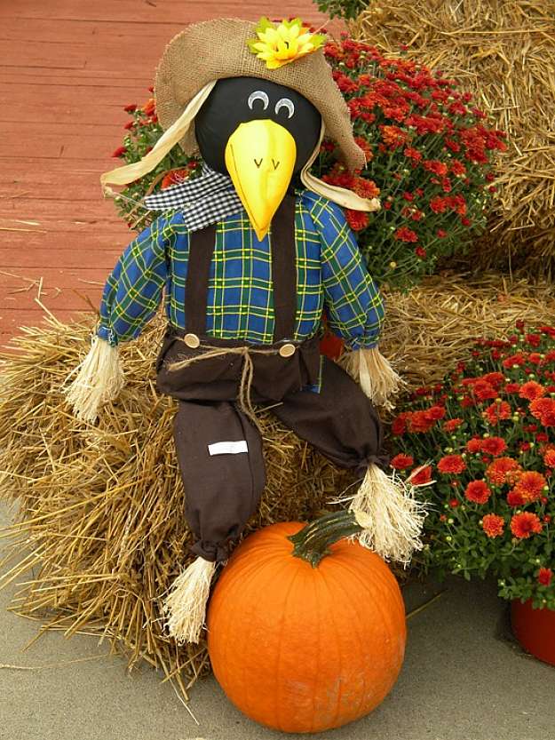 Scarecrow Ideas_Sacrecrow Crow | Homesteading Simple Self Sufficient ...