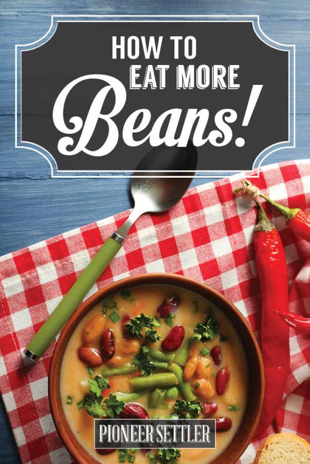 How to Eat More Beans Without Getting Bored | Beans are an affordable way to add protein to your diet. Stock up and make these recipes all year long: https://homesteading.com/homemade-bean-recipes-to-last-forever