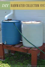 DIY Rainwater Collection System