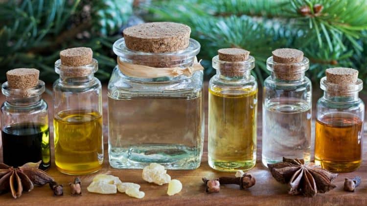 7 Ways To Use Essential Oils Around The Homestead For The Holidays