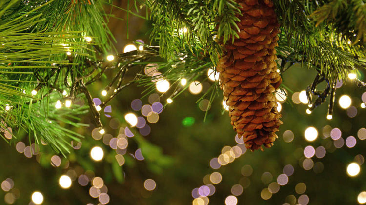 focus bokeh Christmas garland with Christmas lights | Natural Christmas Garland Ideas To Adorn Your Homestead | christmas tree garland ideas | Featured