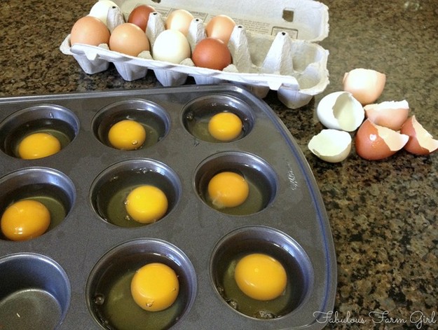 What you'll need | How to Freeze Eggs To Last Longer Than Ever
