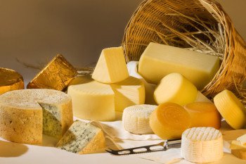 Cheese | Ways To Make Money While Homesteading