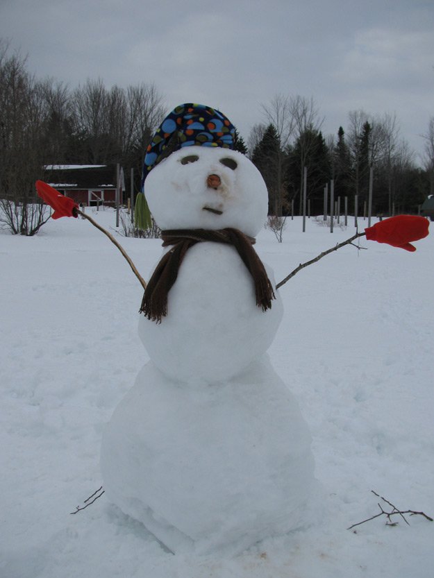Snowman enjoying a winter day. :)