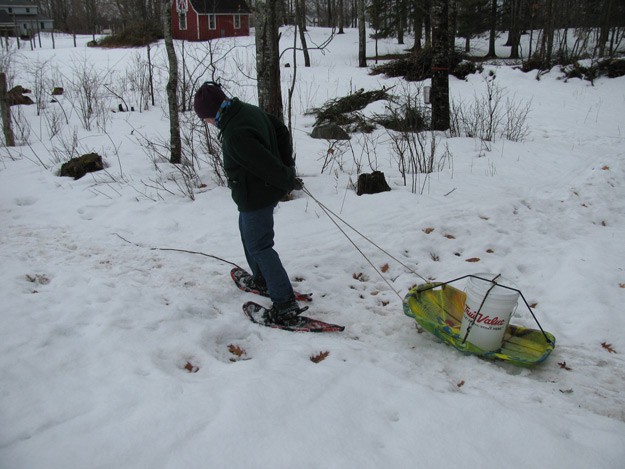Snowshoeing - Hauling Sap from The Maple Tree Back to the Homestead