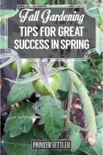 Fall Gardening Tips For Great Success in Spring