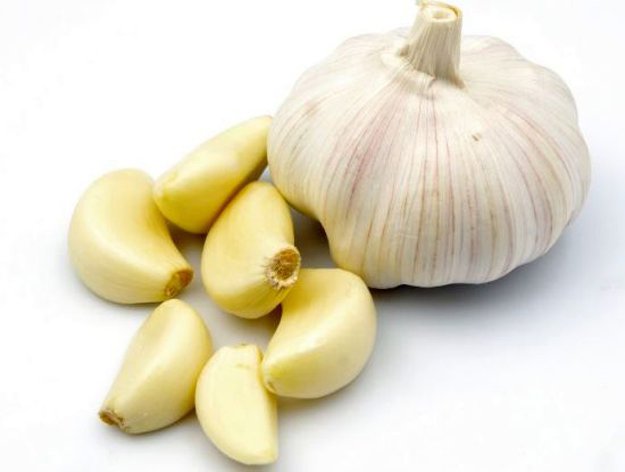 use garlic to repel garden pests