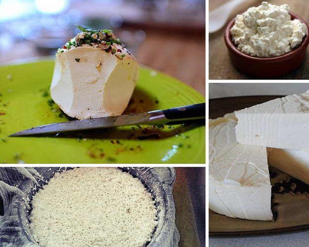 Homemade Cheese Recipes | Homemade Cheese Recipes, Facts & More