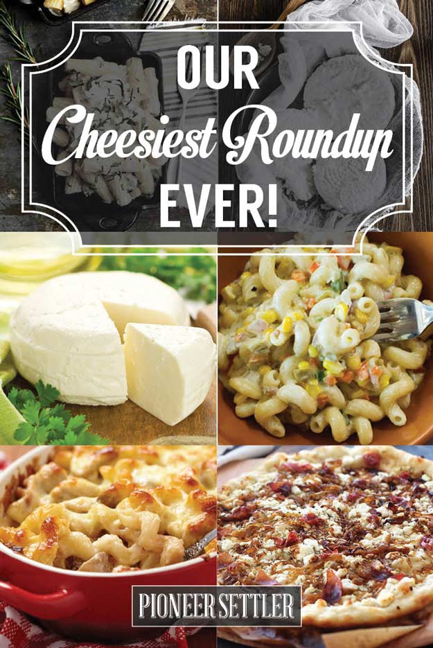 Our Cheesiest Roundup Ever | Homemade Cheese Recipes, Facts & More